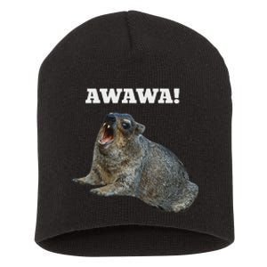 Hyrax Awawa Meme Short Acrylic Beanie