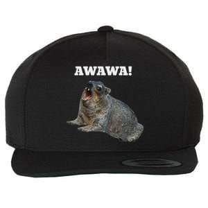 Hyrax Awawa Meme Wool Snapback Cap