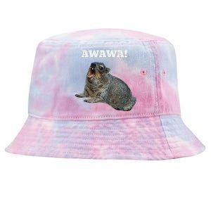 Hyrax Awawa Meme Tie-Dyed Bucket Hat