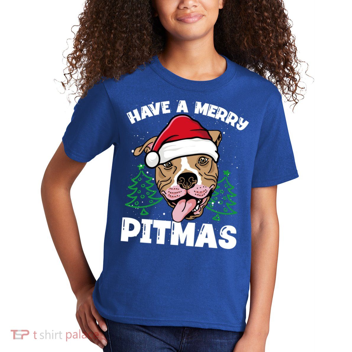 Have A Merry Pitmas Dog Owner Pitbull Dog Christmas Day Gift Kids T-Shirt