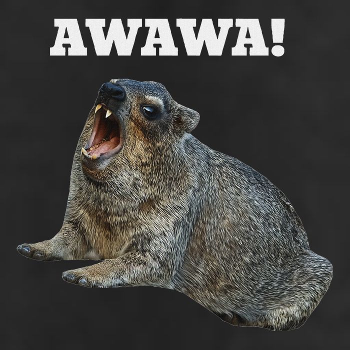 Hyrax Awawa Meme Adult Drive Performance Visor