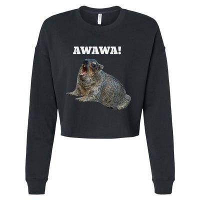 Hyrax Awawa Meme Cropped Pullover Crew