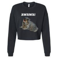 Hyrax Awawa Meme Cropped Pullover Crew