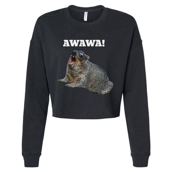 Hyrax Awawa Meme Cropped Pullover Crew