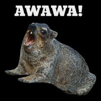 Hyrax Awawa Meme Cropped Pullover Crew