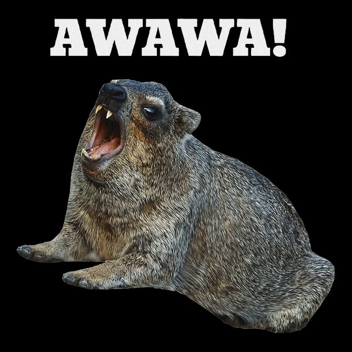 Hyrax Awawa Meme Cropped Pullover Crew