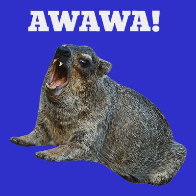 Hyrax Awawa Meme T-Shirt