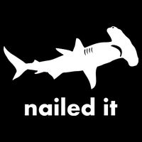 Hammerhead Nailed It Funny Wool Snapback Cap