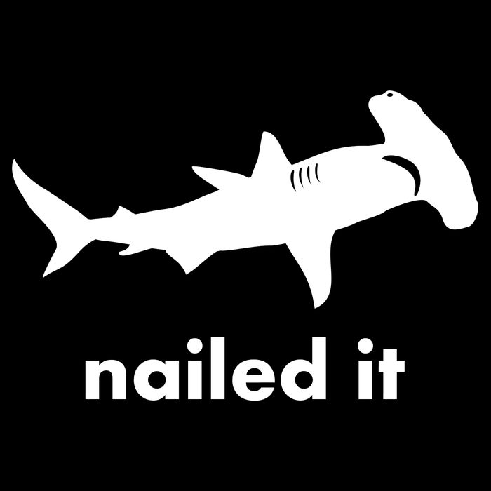 Hammerhead Nailed It Funny Wool Snapback Cap