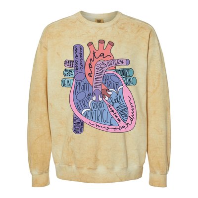 Heart Anatomy Nursing School Cardiologist Anatomical Heart Colorblast Crewneck Sweatshirt