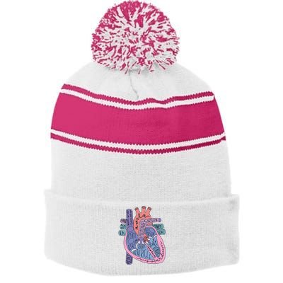 Heart Anatomy Nursing School Cardiologist Anatomical Heart Stripe Pom Pom Beanie