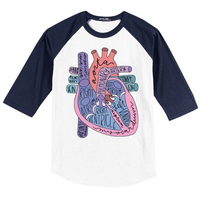 Heart Anatomy Nursing School Cardiologist Anatomical Heart Baseball Sleeve Shirt