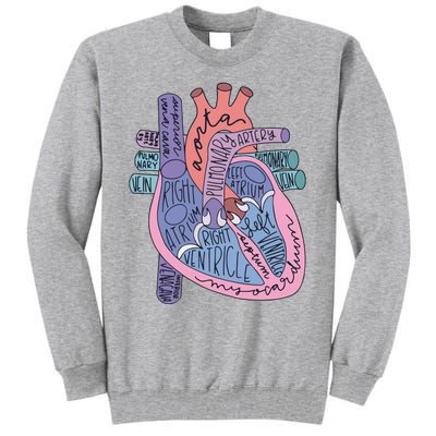 Heart Anatomy Nursing School Cardiologist Anatomical Heart Tall Sweatshirt