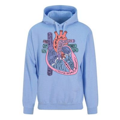 Heart Anatomy Nursing School Cardiologist Anatomical Heart Unisex Surf Hoodie