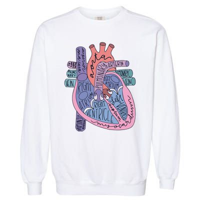 Heart Anatomy Nursing School Cardiologist Anatomical Heart Garment-Dyed Sweatshirt