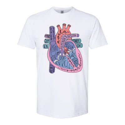 Heart Anatomy Nursing School Cardiologist Anatomical Heart Softstyle CVC T-Shirt