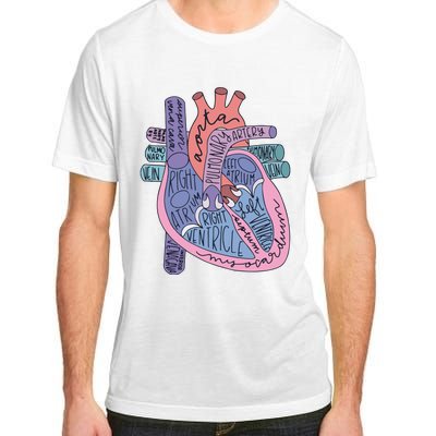 Heart Anatomy Nursing School Cardiologist Anatomical Heart Adult ChromaSoft Performance T-Shirt