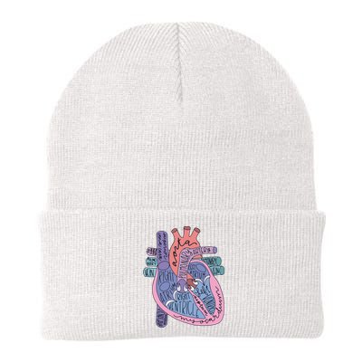 Heart Anatomy Nursing School Cardiologist Anatomical Heart Knit Cap Winter Beanie