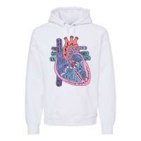 Heart Anatomy Nursing School Cardiologist Anatomical Heart Premium Hoodie