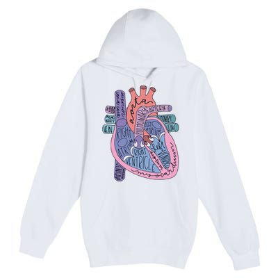 Heart Anatomy Nursing School Cardiologist Anatomical Heart Premium Pullover Hoodie