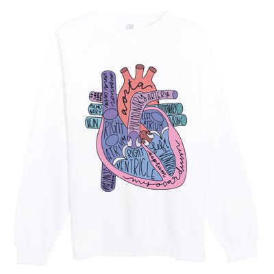 Heart Anatomy Nursing School Cardiologist Anatomical Heart Premium Crewneck Sweatshirt