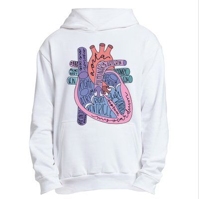 Heart Anatomy Nursing School Cardiologist Anatomical Heart Urban Pullover Hoodie