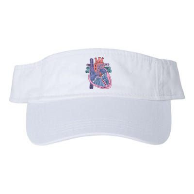 Heart Anatomy Nursing School Cardiologist Anatomical Heart Valucap Bio-Washed Visor