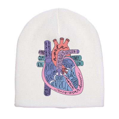 Heart Anatomy Nursing School Cardiologist Anatomical Heart Short Acrylic Beanie