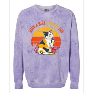 Have A Nice Fucking Day Cat Kitten Raunchy Humor Colorblast Crewneck Sweatshirt