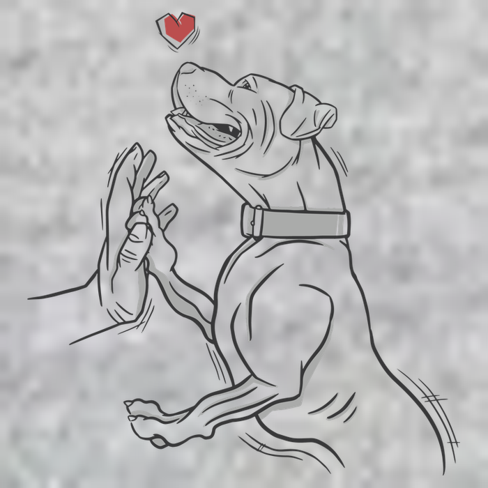 Hand Draw Pitbull Full Zip Hoodie