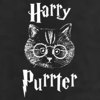 Harry Purrter Adult Drive Performance Visor