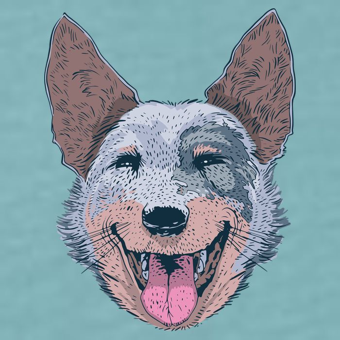 Happy Australian Cattle Dog  Sueded Cloud Jersey T-Shirt