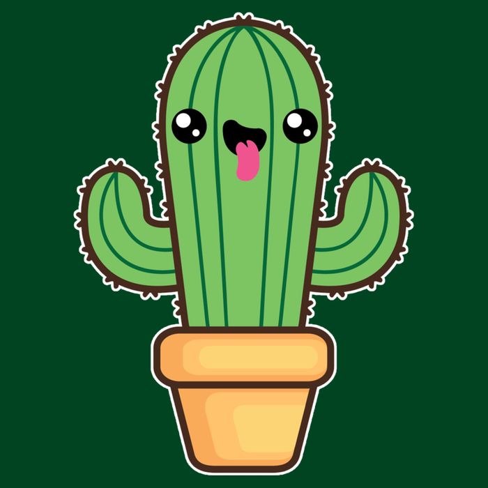 Happy Cactus Premium T-Shirt
