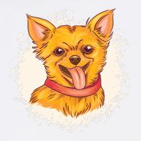 Happy Chihuahua Garment-Dyed Sweatshirt