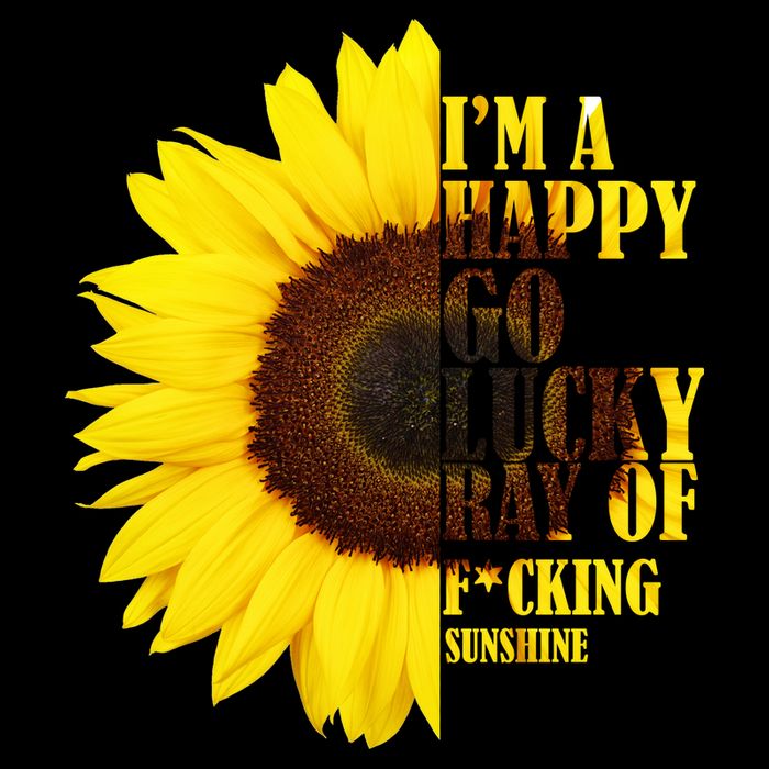 Happy Go Lucky Ray Of Sunshine Cropped Pullover Crew
