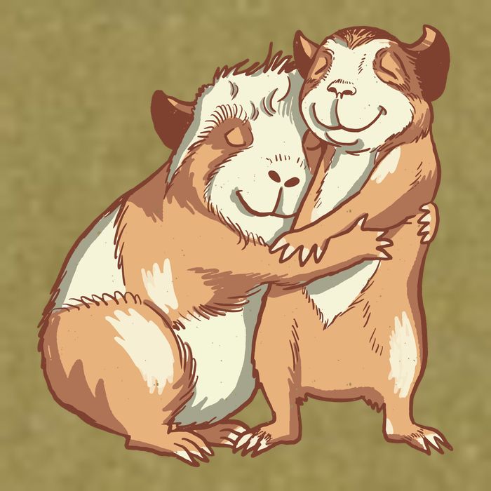 Happy Guinea Pigs Hugging Garment-Dyed Women's Muscle Tee