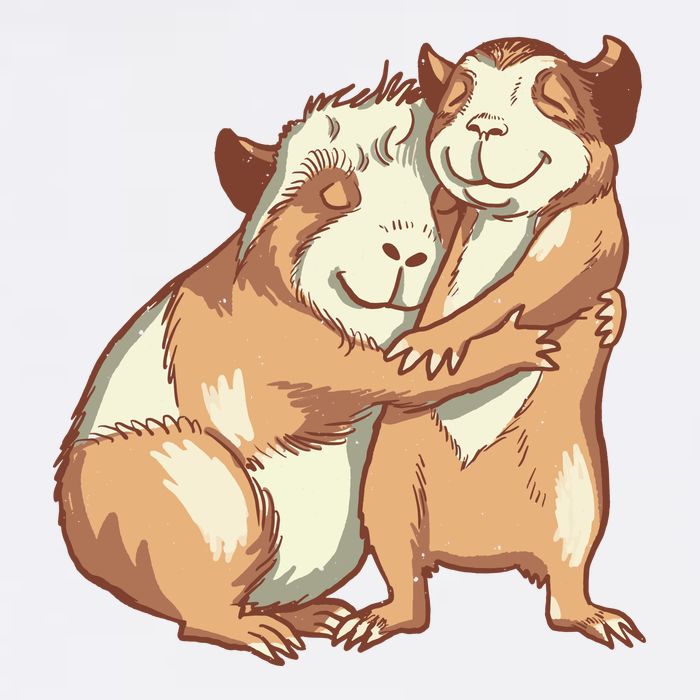 Happy Guinea Pigs Hugging Tall T-Shirt