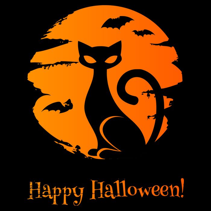 Happy Halloween Cat Button