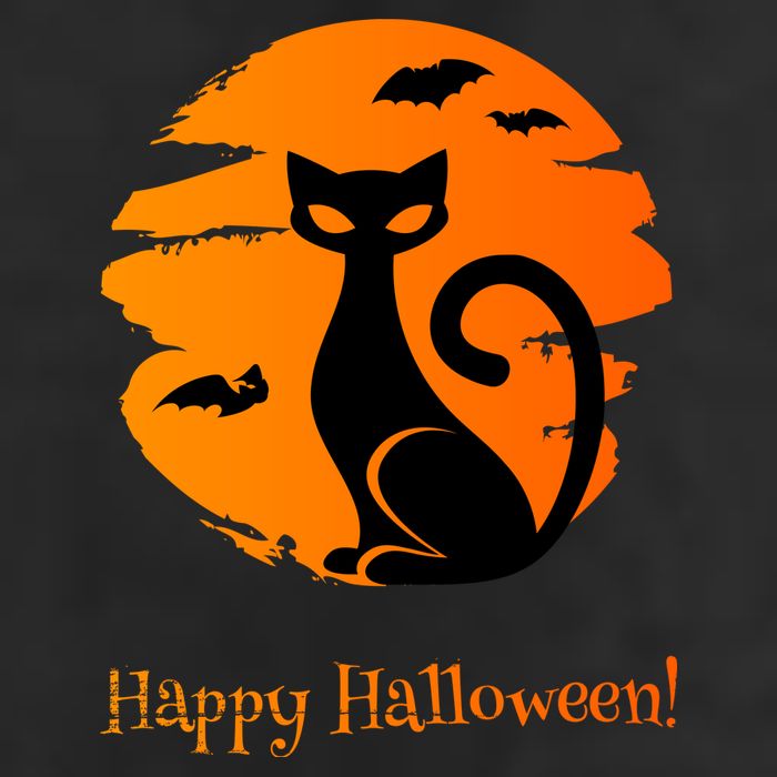 Happy Halloween Cat Adult Drive Performance Visor
