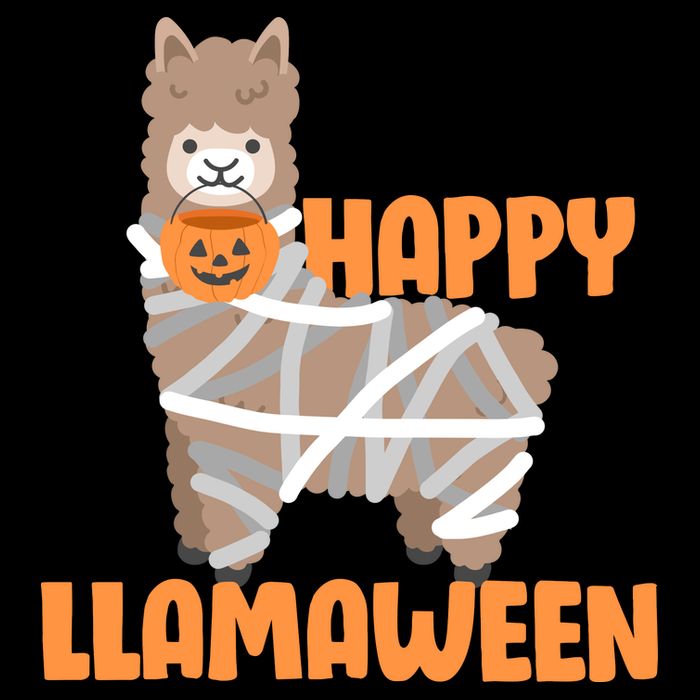 Happy Llamaween Llama Halloween Drawstring Bag