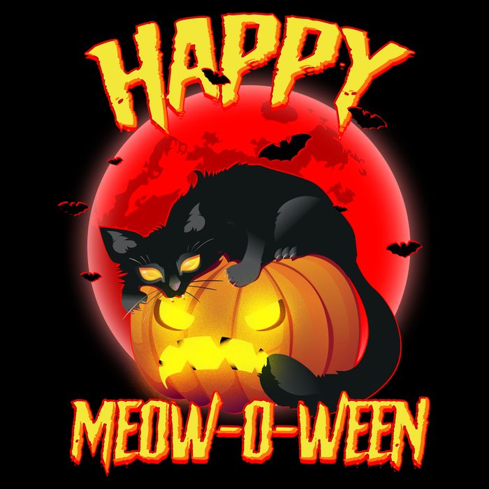 Happy Meow-O-Ween Bucket Hat