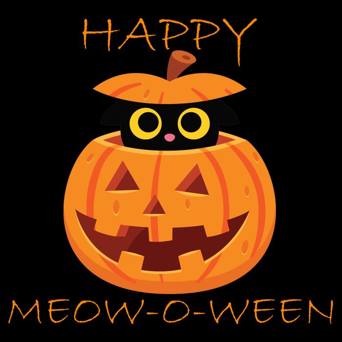 Happy Meow-O-Ween Halloween Sustainable Beanie