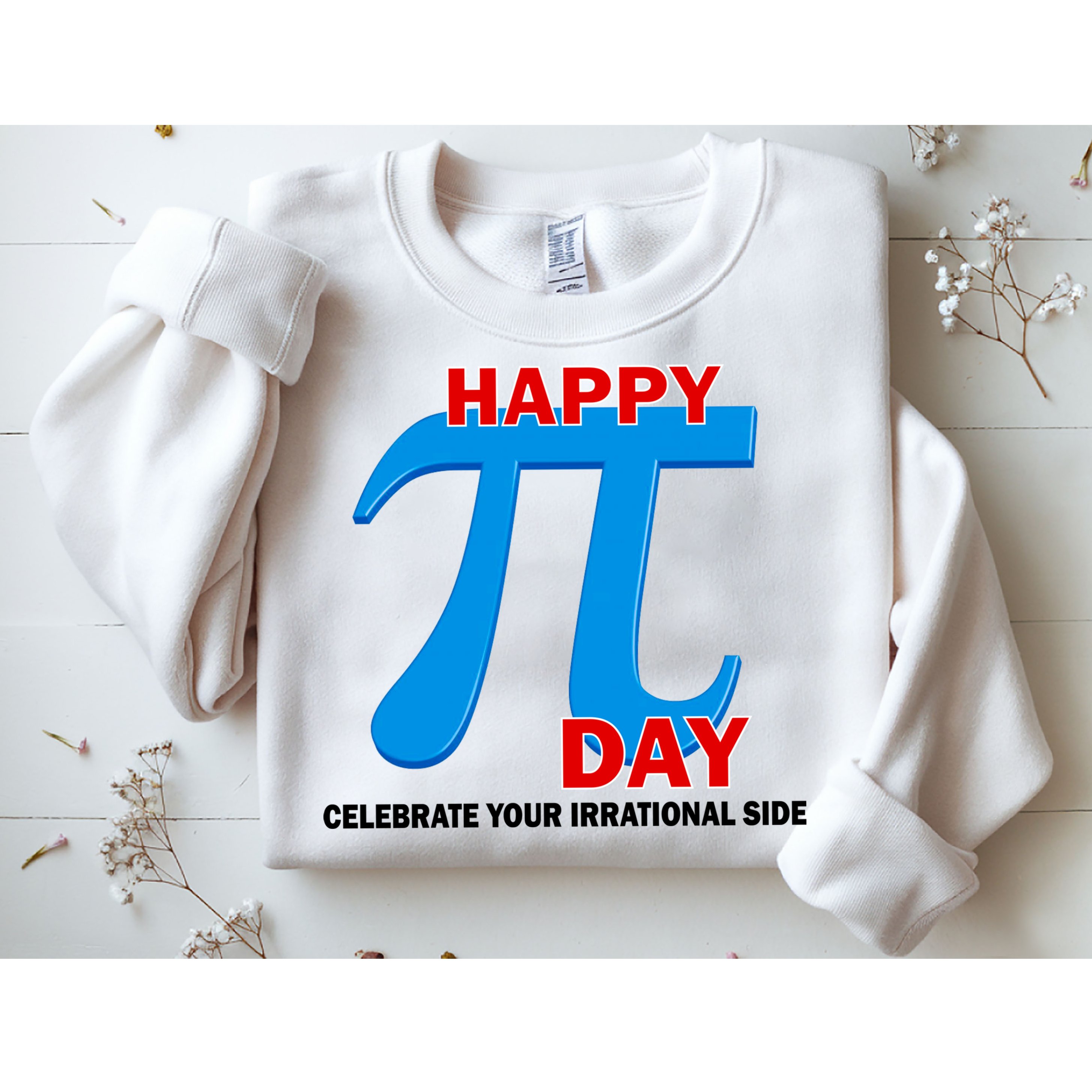 Happy Pi Day Celebrate Your Irrational Side Sweatshirt
