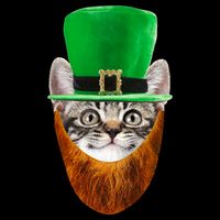 Happy St Catrick's Day Funny Cat Ginger Beard St Patrick's Day Wool Snapback Cap