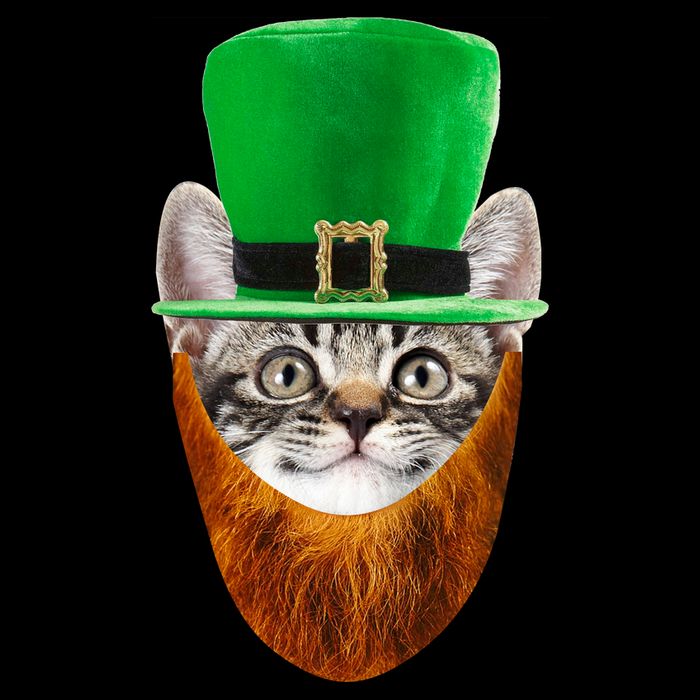 Happy St Catrick's Day Funny Cat Ginger Beard St Patrick's Day Wool Snapback Cap
