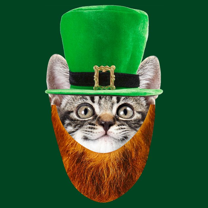 Happy St Catrick's Day Funny Cat Ginger Beard St Patrick's Day Sustainable Beanie