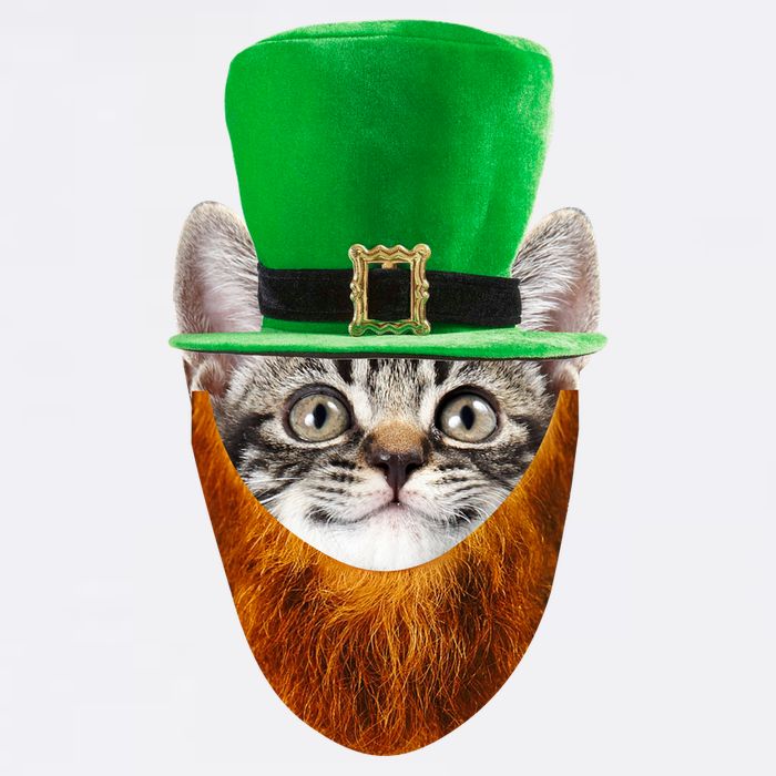 Happy St Catrick's Day Funny Cat Ginger Beard St Patrick's Day Garment-Dyed Sweatshirt