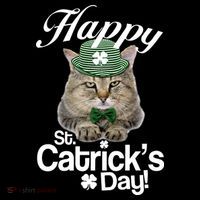 Happy St Catrick's Day Irish Cat Sustainable Bucket Hat