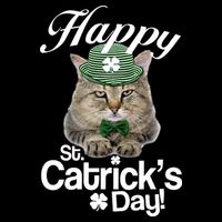 Happy St Catrick's Day Irish Cat Cropped Pullover Crew