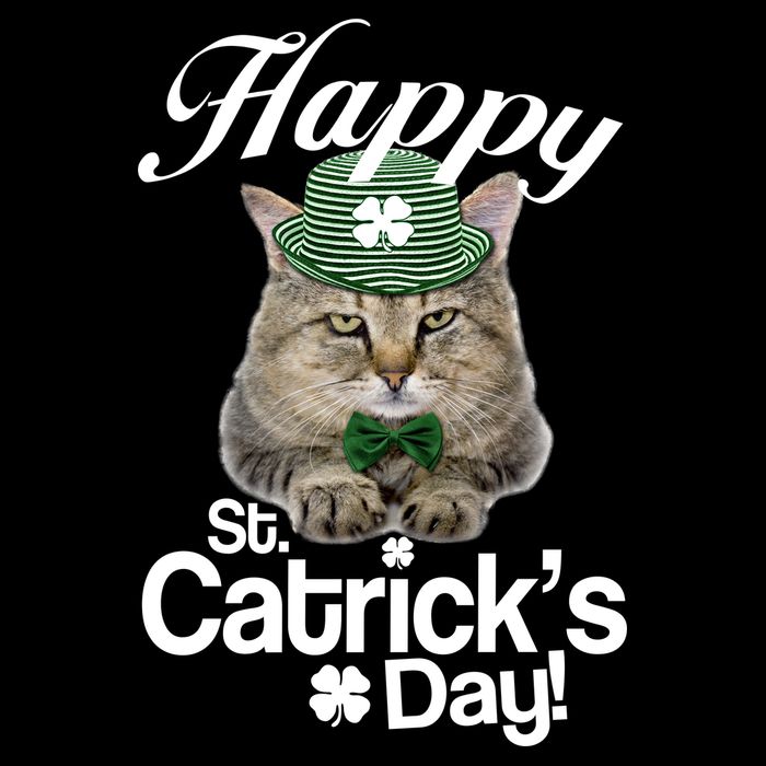 Happy St Catrick's Day Irish Cat Cropped Pullover Crew